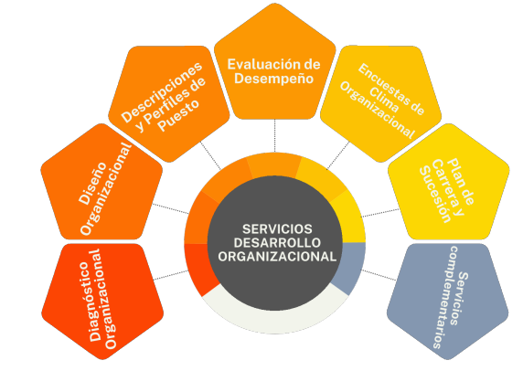 Servicios de desarrollo organizacional TICNIX